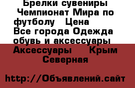 Брелки-сувениры Чемпионат Мира по футболу › Цена ­ 399 - Все города Одежда, обувь и аксессуары » Аксессуары   . Крым,Северная